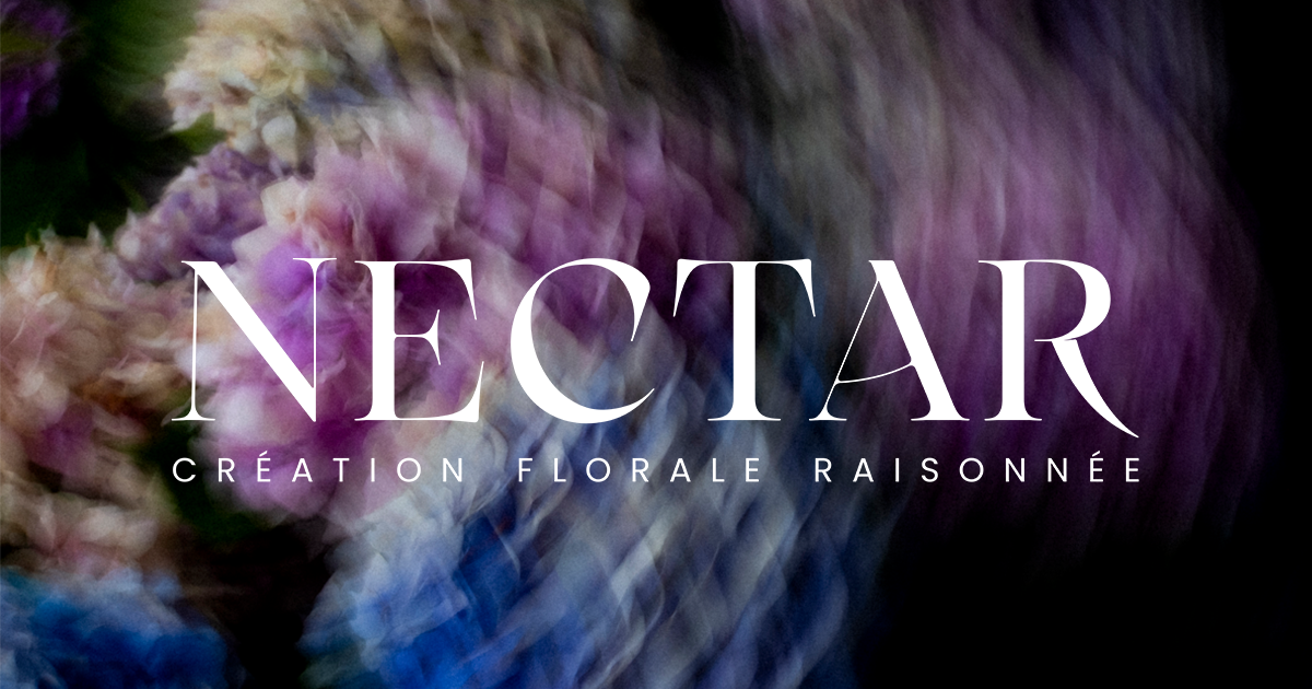 Nectar Paris - Création florale raisonnée