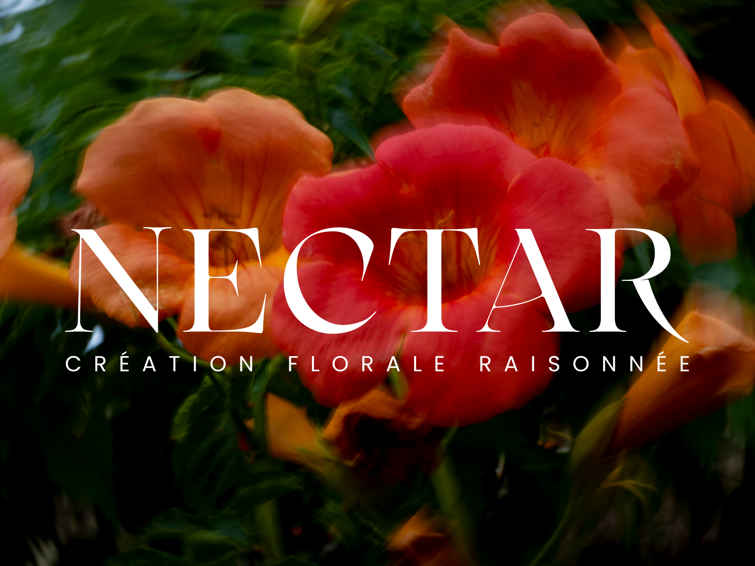 Nectar Paris - Fleurs locales et de saison